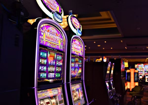 Platform juara228 menampilkan berbagai kategori permainan dari sportsbook hingga live dealer